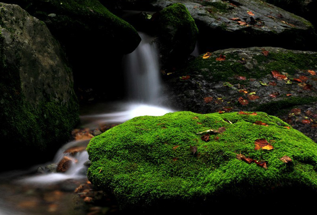 Guanmenshan Mingcui Valley --- Natural Oxygen Bar
