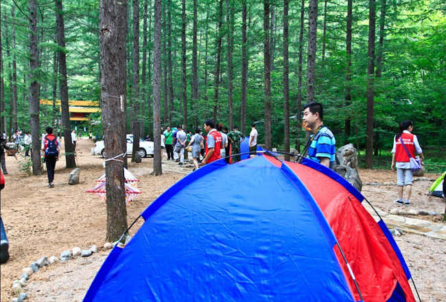 Liaoning Province's first self-driving forest camp was completed