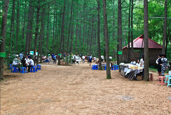 Liaoning Province's first self-driving forest camp was completed