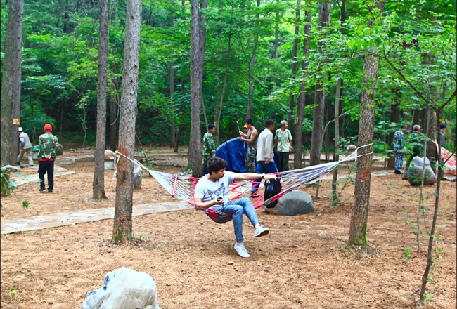 Liaoning Province's first self-driving forest camp was completed
