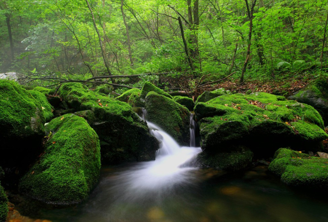 Guanmenshan Mingcui Valley --- Natural Oxygen Bar