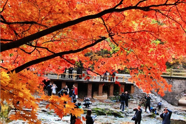 关门山风景区