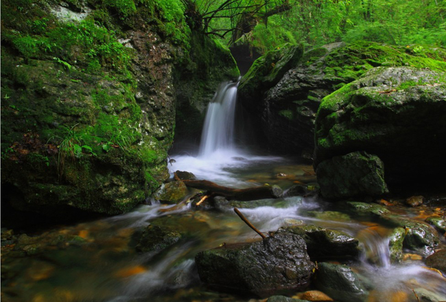Guanmenshan Mingcui Valley --- Natural Oxygen Bar