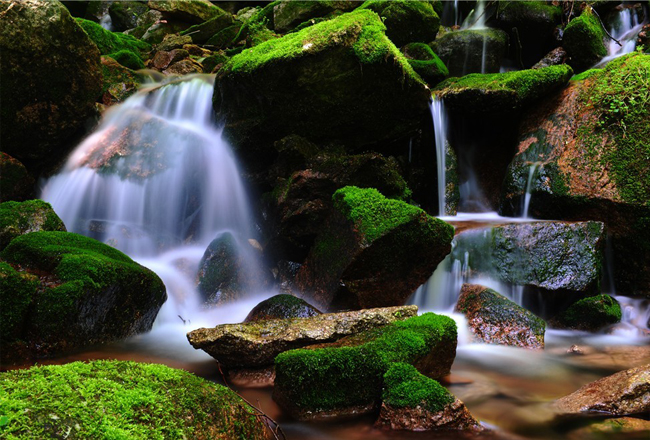 Guanmenshan Mingcui Valley --- Natural Oxygen Bar
